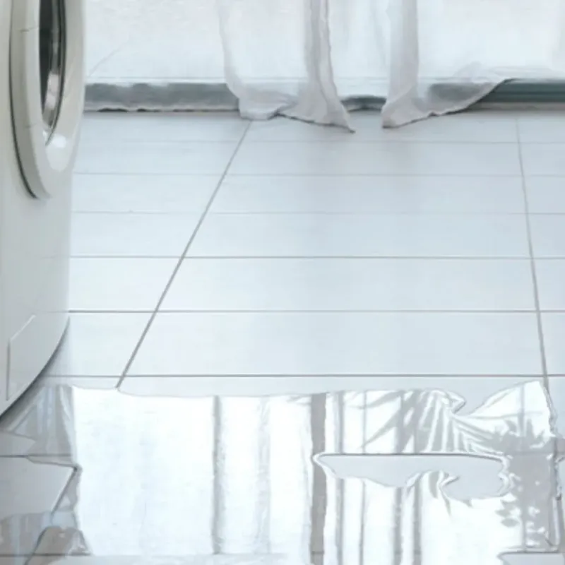 Appliance Leak Cleanup in Raritan, NJ